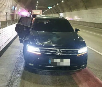2020 Volkswagen Tiguan WVGZZZ5NZLW905961 VIN:WVGZZZ5NZLW905961