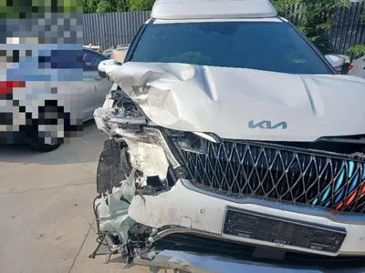2021 Kia Carnival VIN: