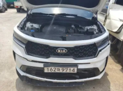 2021 Kia Sorento KNARL81BGMA079110 VIN:KNARL81BGMA079110