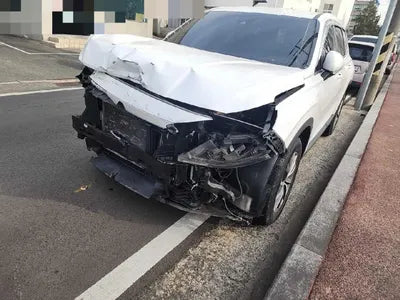 2018 Hyundai Santa FE KMHS281BBKU004778 VIN:KMHS281BBKU004778