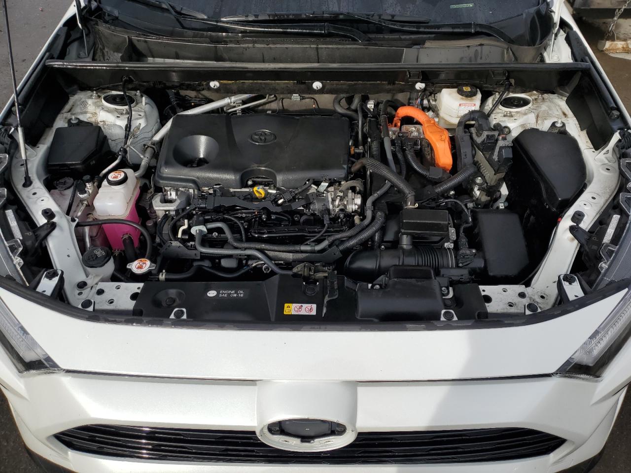 2024 TOYOTA RAV4 SE VIN:JTM16RFV9RJ043348