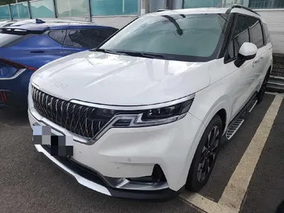 2021 Kia Carnival KNANC81BBMS078167 VIN:KNANC81BBMS078167