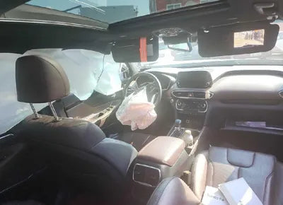 2019 Hyundai Santa FE KMHS581BDKU060270 VIN:KMHS581BDKU060270