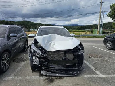 2019 Hyundai Tucson KMHJ581ADKU058096 VIN:KMHJ581ADKU058096