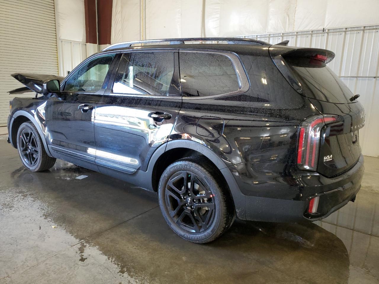 2024 KIA TELLURIDE EX VIN:5XYP3DGC6RG475561