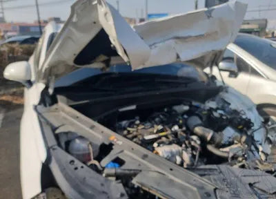 2021 Hyundai Santa FE KMHS581HGMU340009 VIN:KMHS581HGMU340009