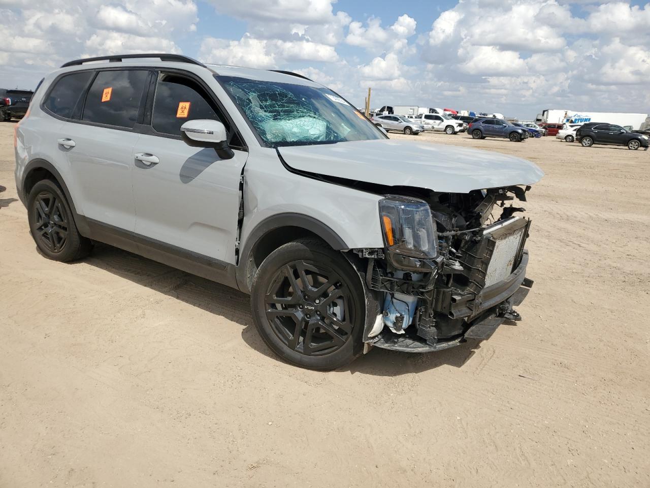 2024 KIA TELLURIDE EX VIN:5XYP3DGC8RG472287