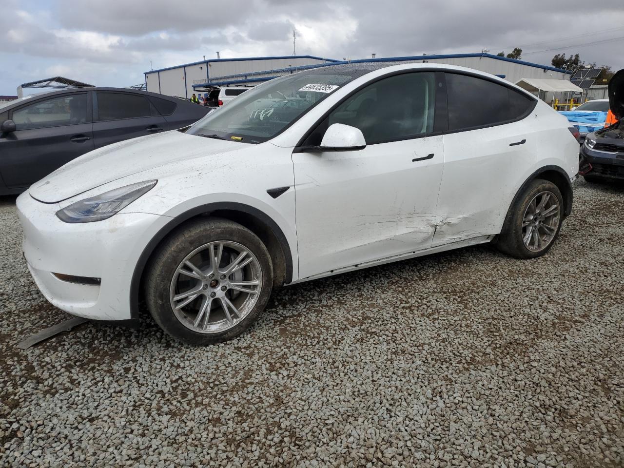 2023 TESLA MODEL Y  VIN:7SAYGDEE8PA069783