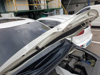 2019 Kia Carnival VIN: