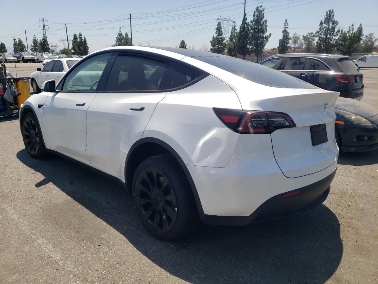 2023 TESLA MODEL Y  VIN:WP0AA2A8XNS255297