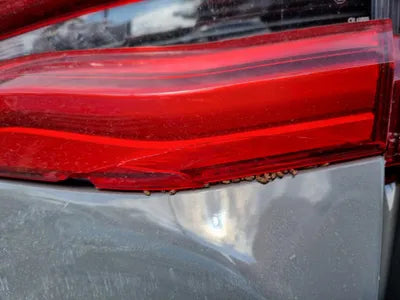 2020 BMW 630 WBA61CC01MCE99299 VIN:WBA61CC01MCE99299