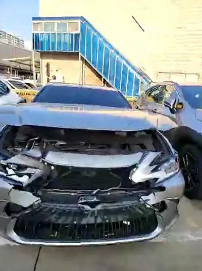 2019 Lexus ES 300 JTHB21B12K2049785 VIN:JTHB21B12K2049785