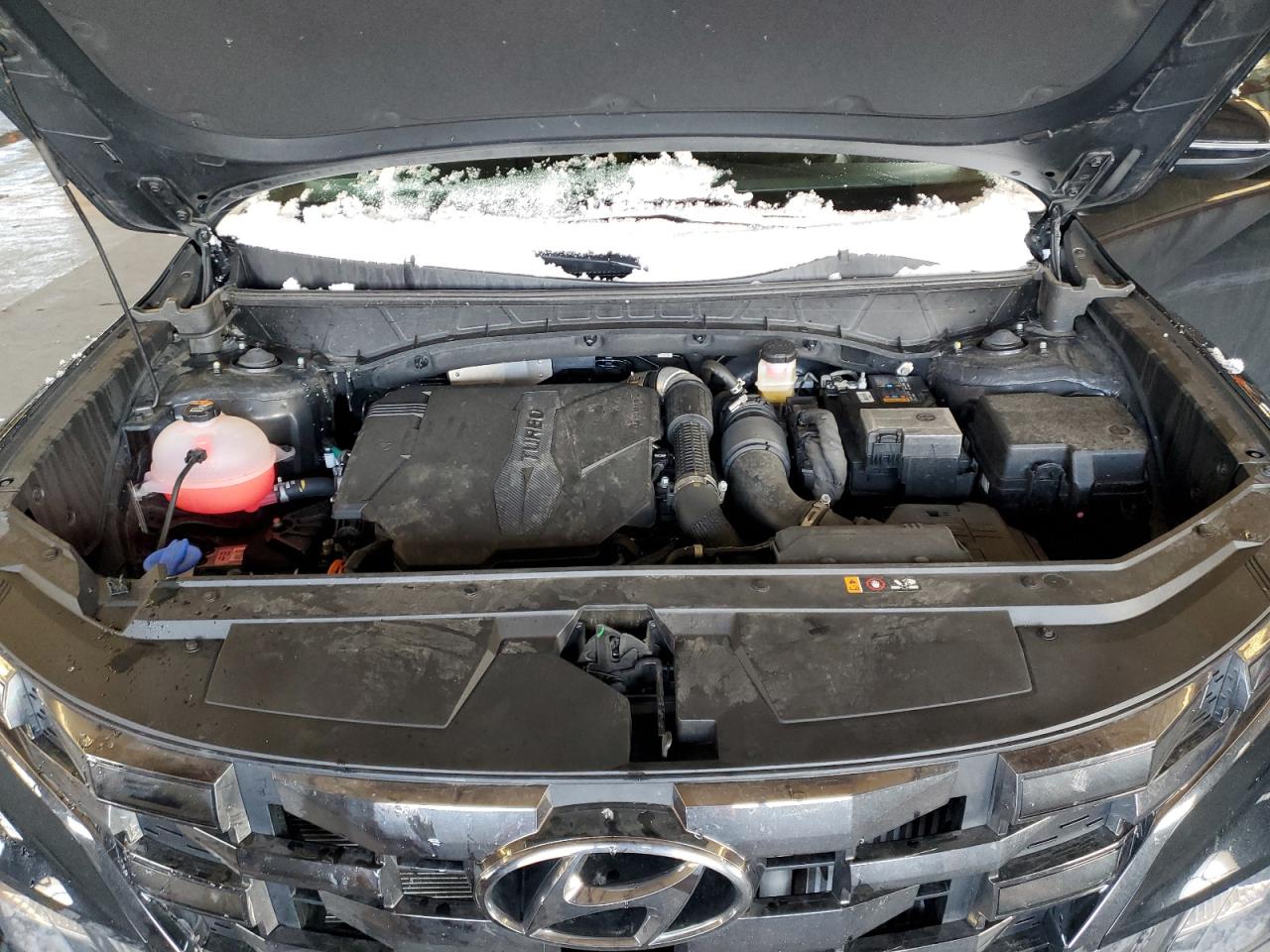 2023 HYUNDAI SANTA CRUZ NIGHT VIN:5NTJCDAF6PH076567