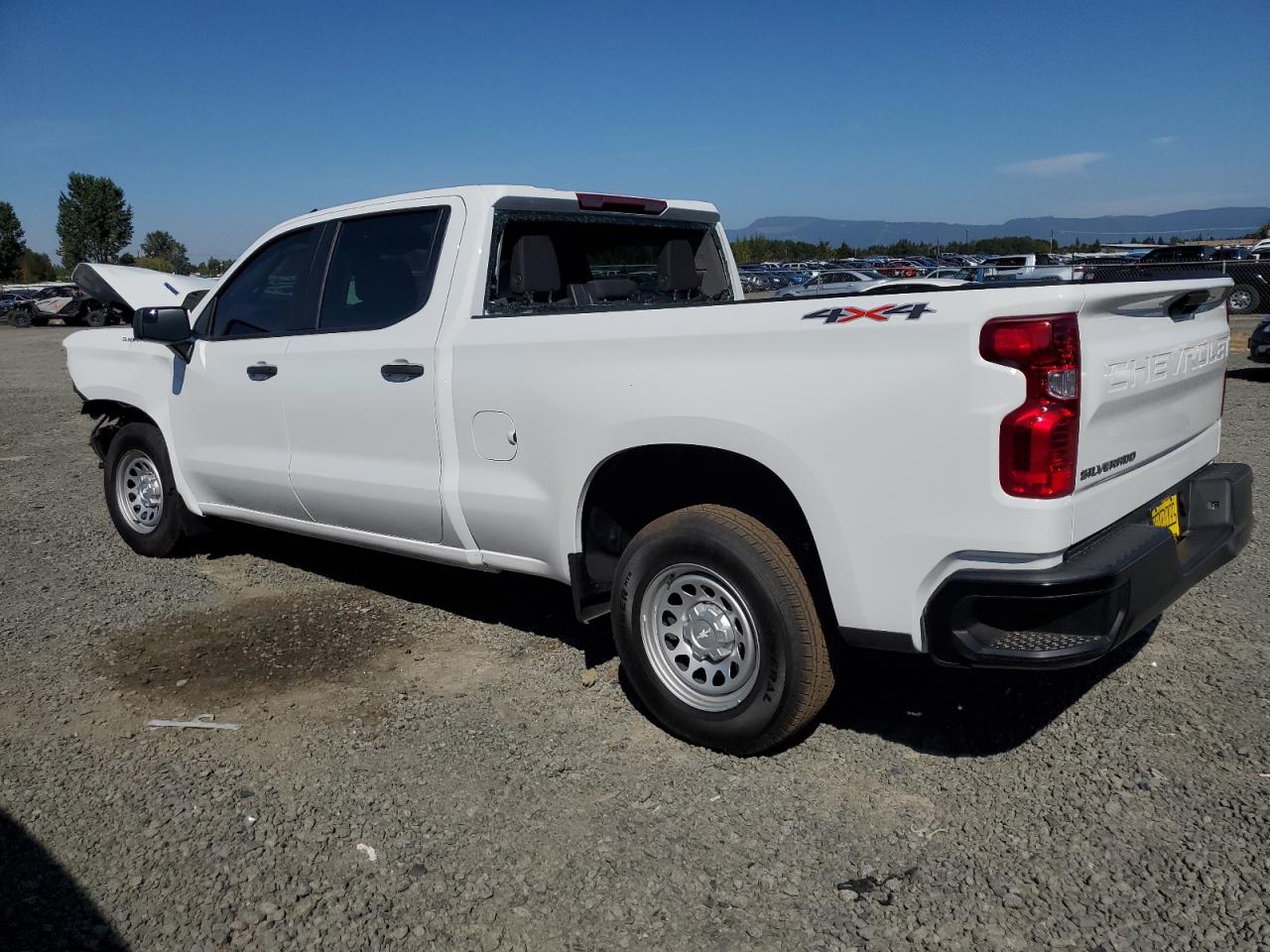 2024 CHEVROLET SILVERADO K1500 VIN:1GCPDAEK5RZ374745