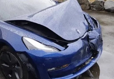 2021 Tesla Model 3 5YJ3E1EB8MF081304 VIN:5YJ3E1EB8MF081304