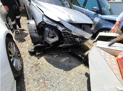 2019 Hyundai Santa FE KMHS381BBKU156411 VIN:KMHS381BBKU156411