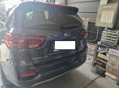 2020 Kia Sorento KNAPS81BDLA623830 VIN:KNAPS81BDLA623830