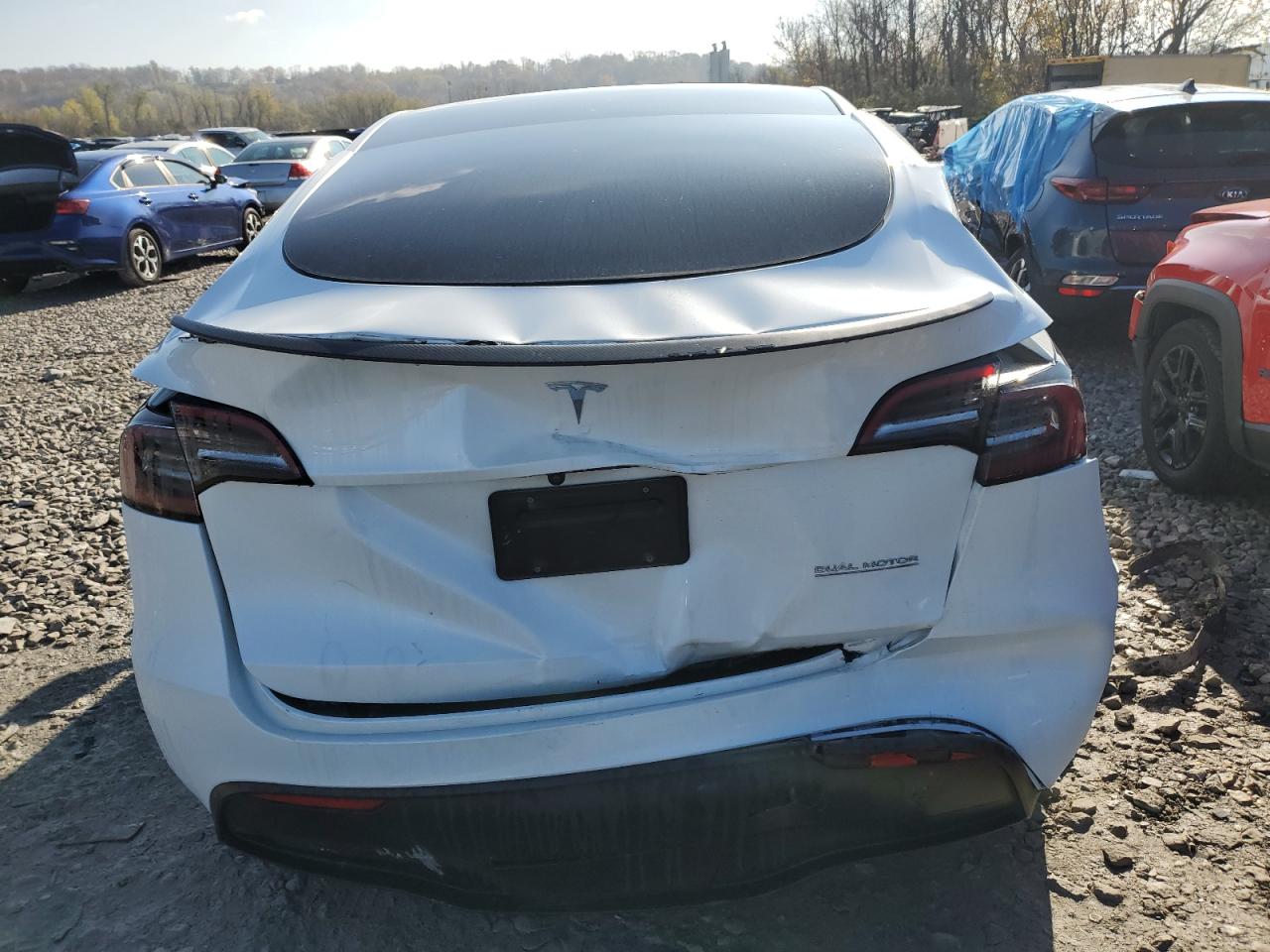 2023 TESLA MODEL Y  VIN:7SAYGDEF6PF789000