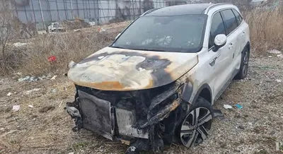 2021 Kia Sorento KNARH81GBMA021079 VIN:KNARH81GBMA021079