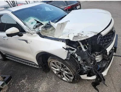 2021 Kia Sorento KNARH81BHMA048343 VIN:KNARH81BHMA048343