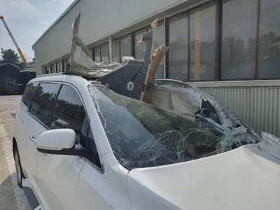 2020 Kia Carnival KNAME81ABLS653172 VIN:KNAME81ABLS653172
