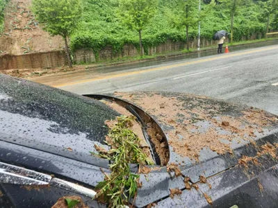 2017 Kia K5 654KMKNAGU411BHA1 VIN:654KMKNAGU411BHA1