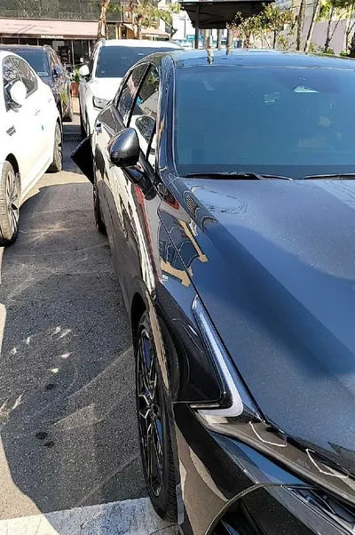 2021 Kia K5 KNAG6412BNA169173 VIN:KNAG6412BNA169173