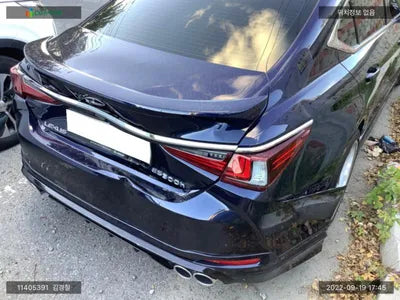 2019 Lexus ES 300 JTHB21B10K2066133 VIN:JTHB21B10K2066133