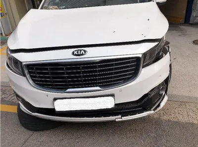 2016 Kia Carnival KNAMB81ABGS161928 VIN:KNAMB81ABGS161928