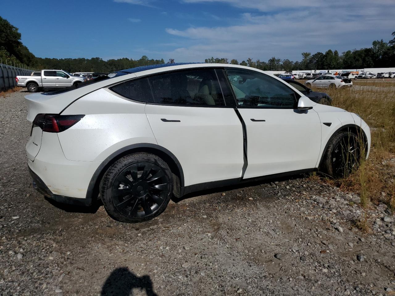 2024 TESLA MODEL Y  VIN:7SAYGDEE7RF993704