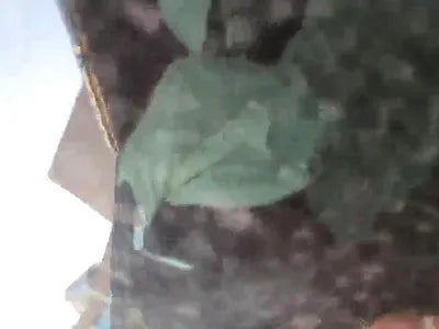 2017 Mercedes-Benz S 350 WDDUF3DB7HA298930 VIN:WDDUF3DB7HA298930