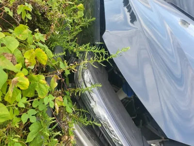 2019 Hyundai Kona VIN:
