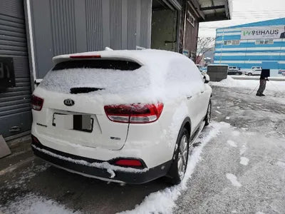 2016 Kia Sorento KNAPH81ABGA216735 VIN:KNAPH81ABGA216735