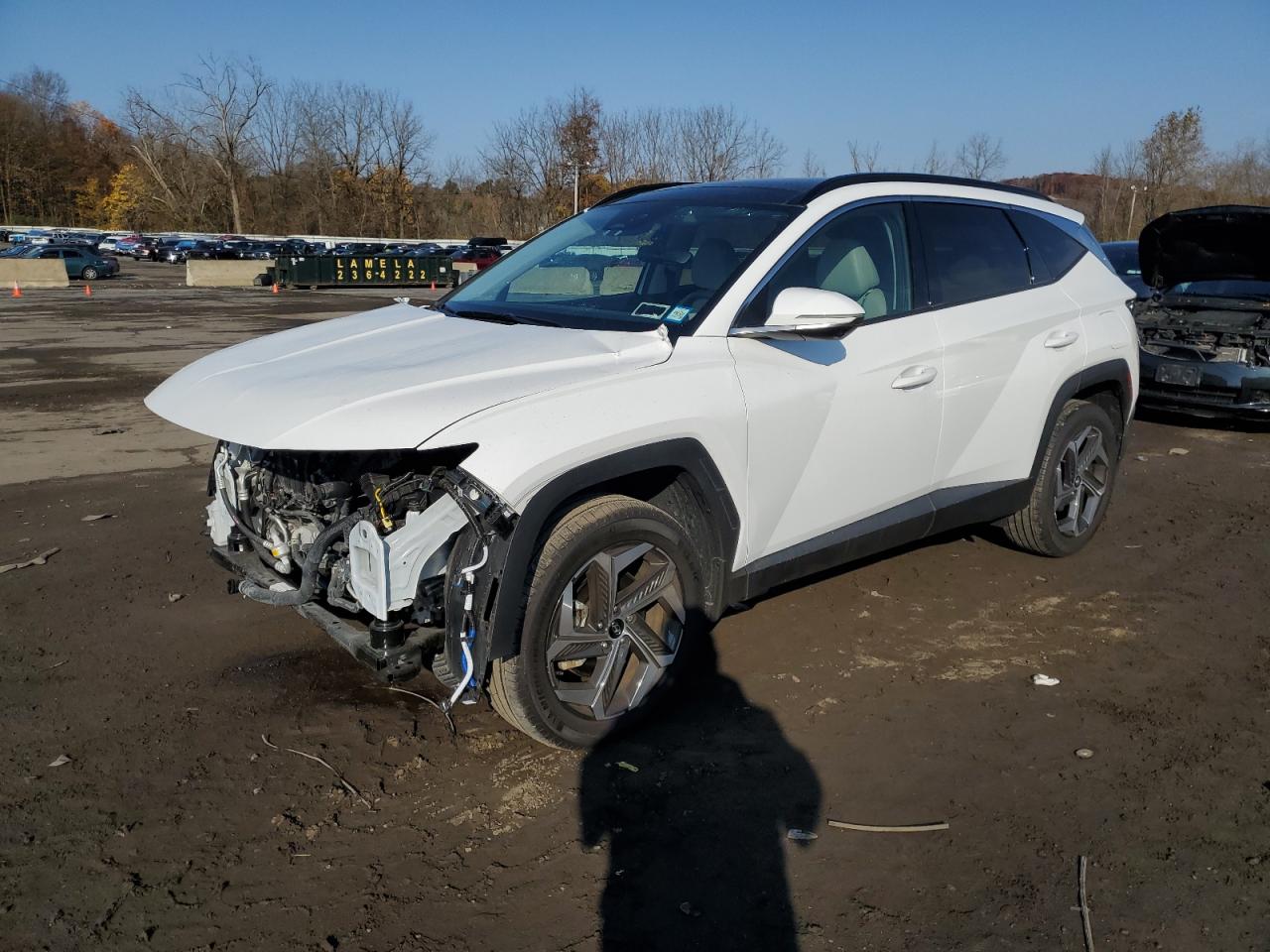 2024 HYUNDAI TUCSON LIMITED VIN:5NMJECDEXRH295036