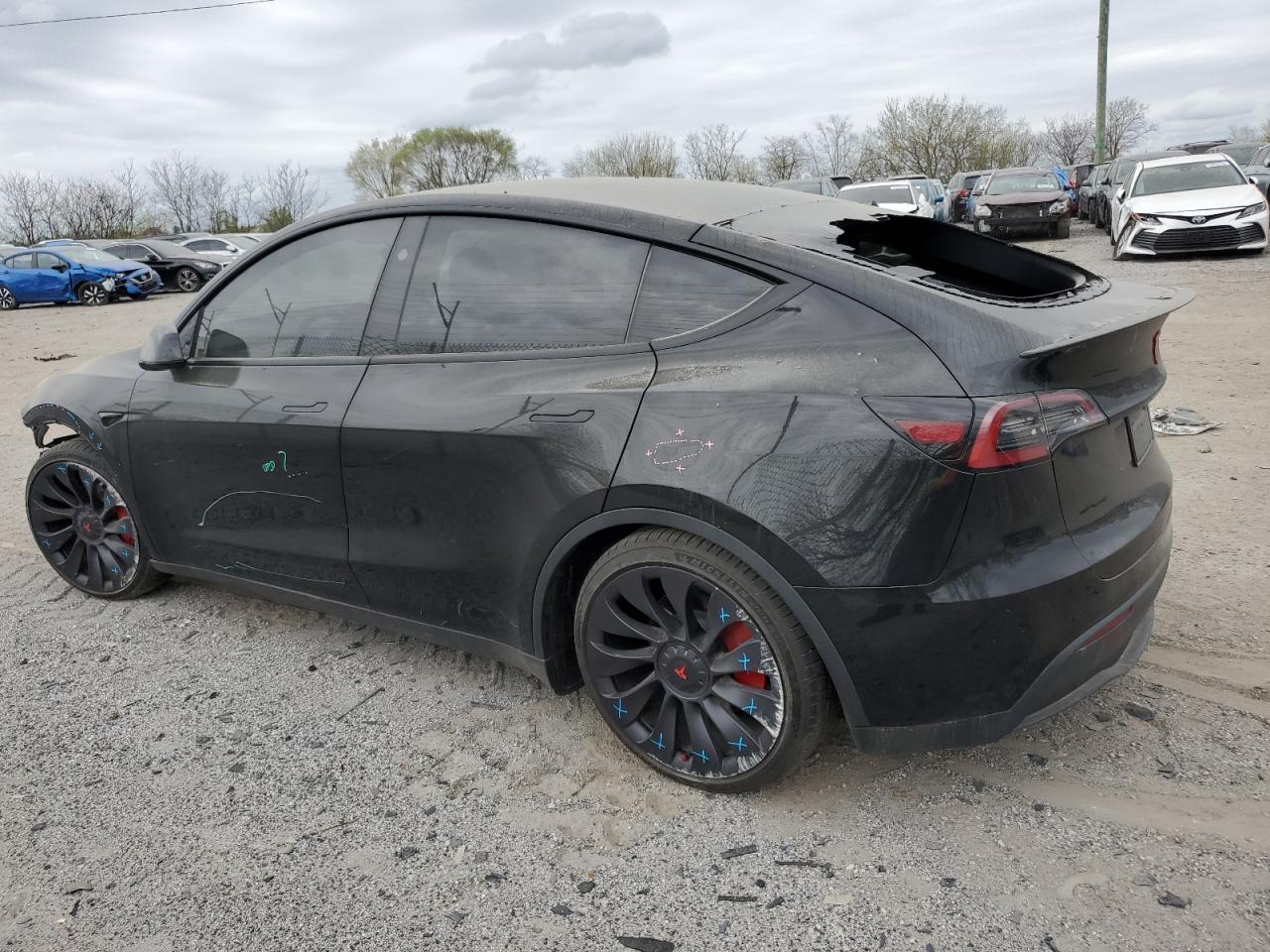 2023 TESLA MODEL Y  VIN:7SAYGDEF4PF845550