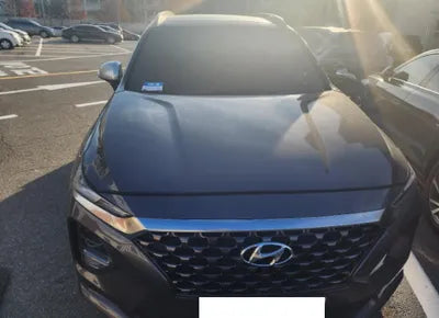 2019 Hyundai Santa FE KMHS581CBKU109769 VIN:KMHS581CBKU109769