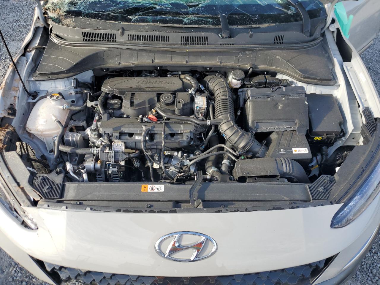 2023 HYUNDAI KONA LIMITED VIN:KM8K53A36PU044281