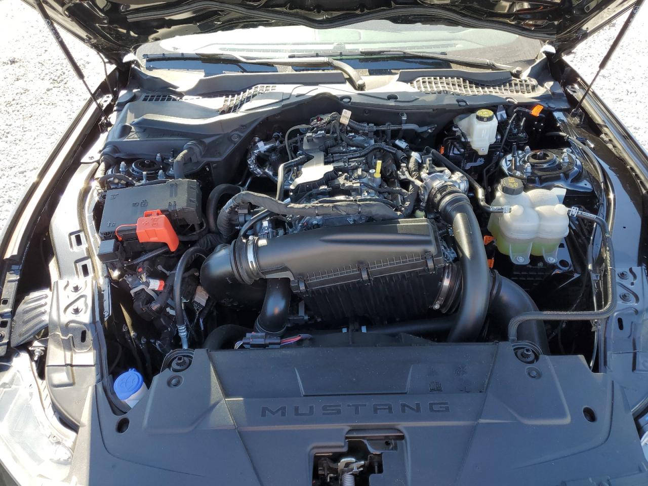 2024 FORD MUSTANG  VIN:1FA6P8TH3R5121441