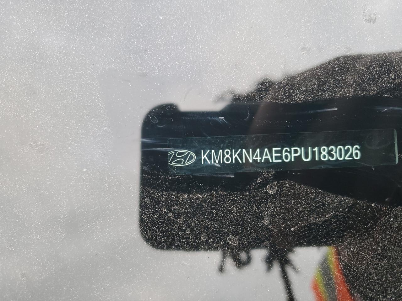 2023 HYUNDAI IONIQ 5 SEL VIN:KM8KN4AE6PU183026