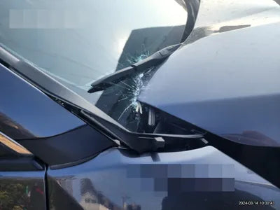 2021 Toyota RAV4 JTMDWRFV3MD094011 VIN:JTMDWRFV3MD094011