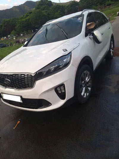 2018 Kia Sorento KNAPH81ADKA518211 VIN:KNAPH81ADKA518211