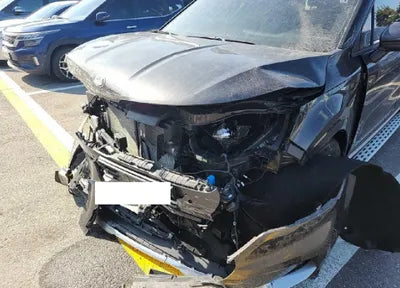 2021 Kia Carnival KNANE81BBMS056875 VIN:KNANE81BBMS056875