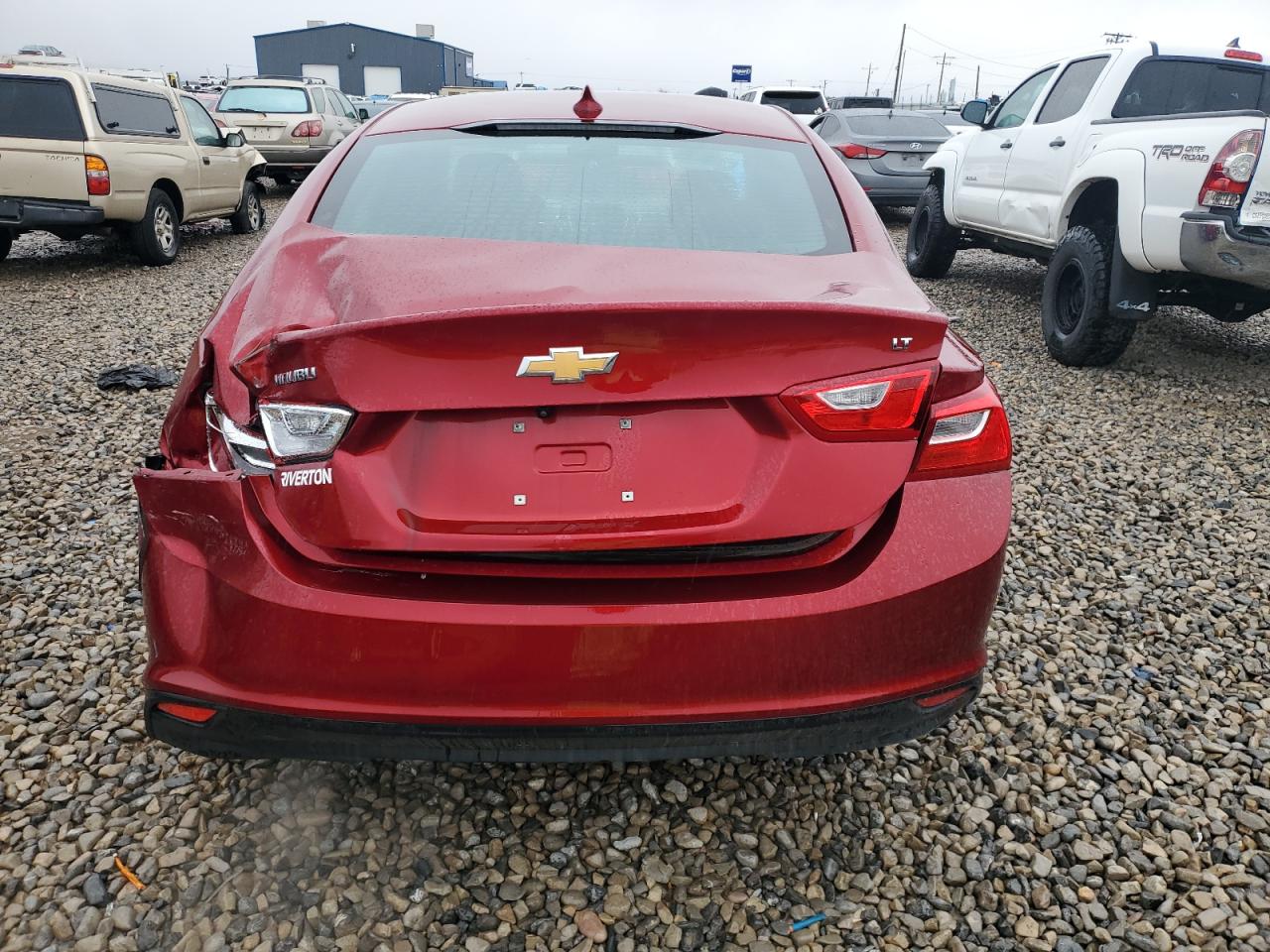 2023 CHEVROLET MALIBU LT VIN:1G1ZD5ST0PF211442