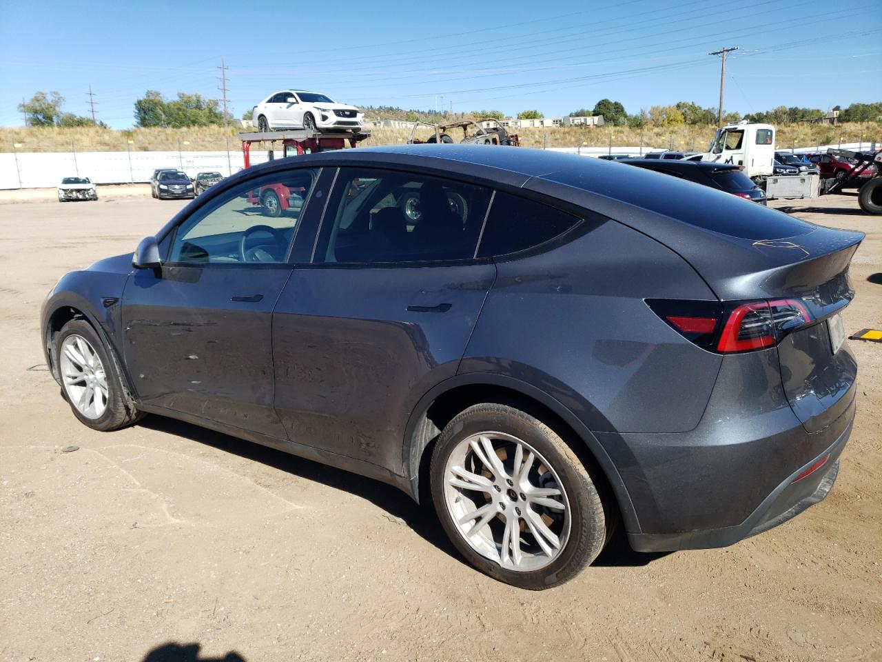 2024 TESLA MODEL Y  VIN:7SAYGDEE0RA217282