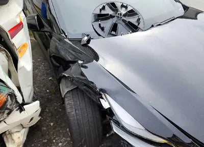 2021 Tesla Model 3 5YJ3E1EB3MF951606 VIN:5YJ3E1EB3MF951606