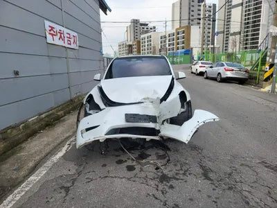 2022 Tesla Model Y 7SAYGDEEXNF499539 VIN:7SAYGDEEXNF499539