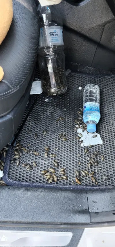 2017 Hyundai Santa FE KMHSW81UDHU763604 VIN:KMHSW81UDHU763604