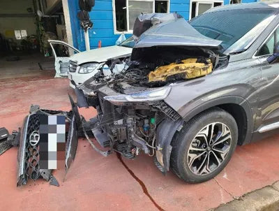 2019 Hyundai Santa FE KMHS281BBKU139725 VIN:KMHS281BBKU139725