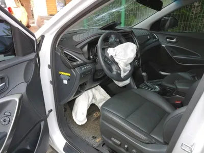 2017 Hyundai Santa FE KMHSW81UBJU841205 VIN:KMHSW81UBJU841205