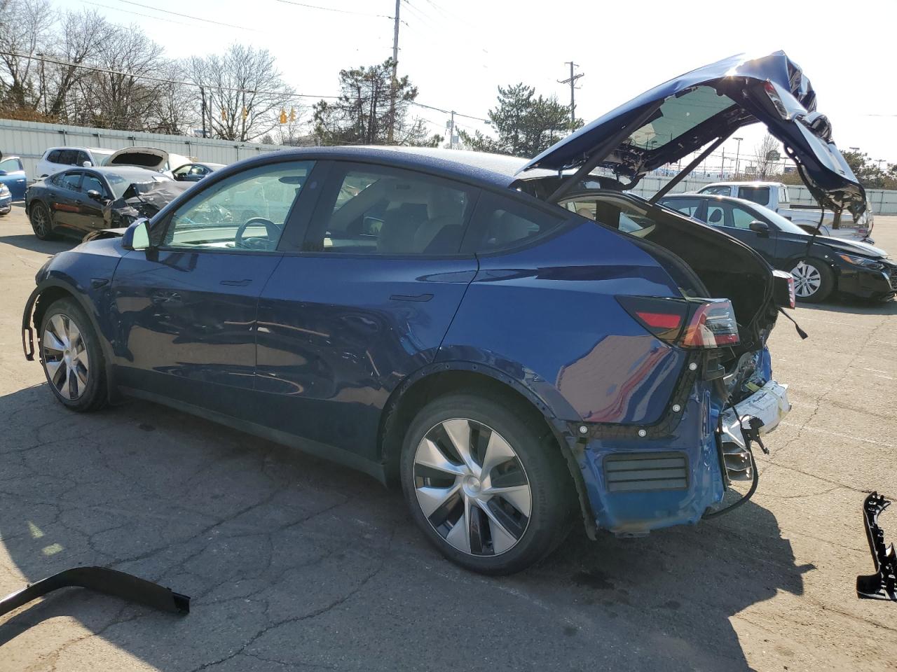 2023 TESLA MODEL Y  VIN:7SAYGDEE6PF809768
